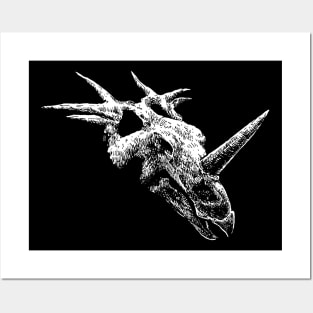 Styracosaurus Skull (plain) Posters and Art